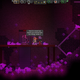 Illustration for article titled Starbound, in screenshots Part1 (Warning 278 images)